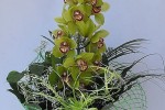 Zdj�cie: acymbidium_ziel.jpg