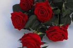 Zdj�cie: red_naomi.jpg
