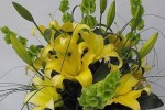 Zdj�cie: yellowquen.jpg
