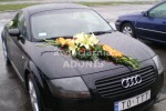 Zdj�cie: 00014.jpg