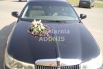 Zdj�cie: 00033.jpg