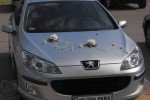 Zdj�cie: 40711111.jpg