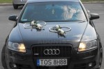 Zdj�cie: audiprzod.jpg