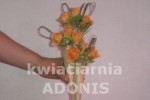 Zdj�cie: 0109.jpg