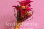Zdj�cie: 0110.jpg