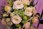 Zdj�cie: 0213.jpg
