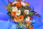 Zdj�cie: 0317.jpg