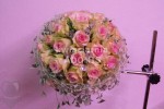 Zdj�cie: 0402.jpg