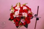 Zdj�cie: 0418.jpg