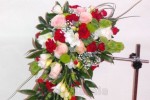 Zdj�cie: 0504.jpg