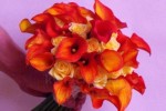 Zdj�cie: 0506.jpg