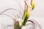 Zdj�cie: 0518.jpg